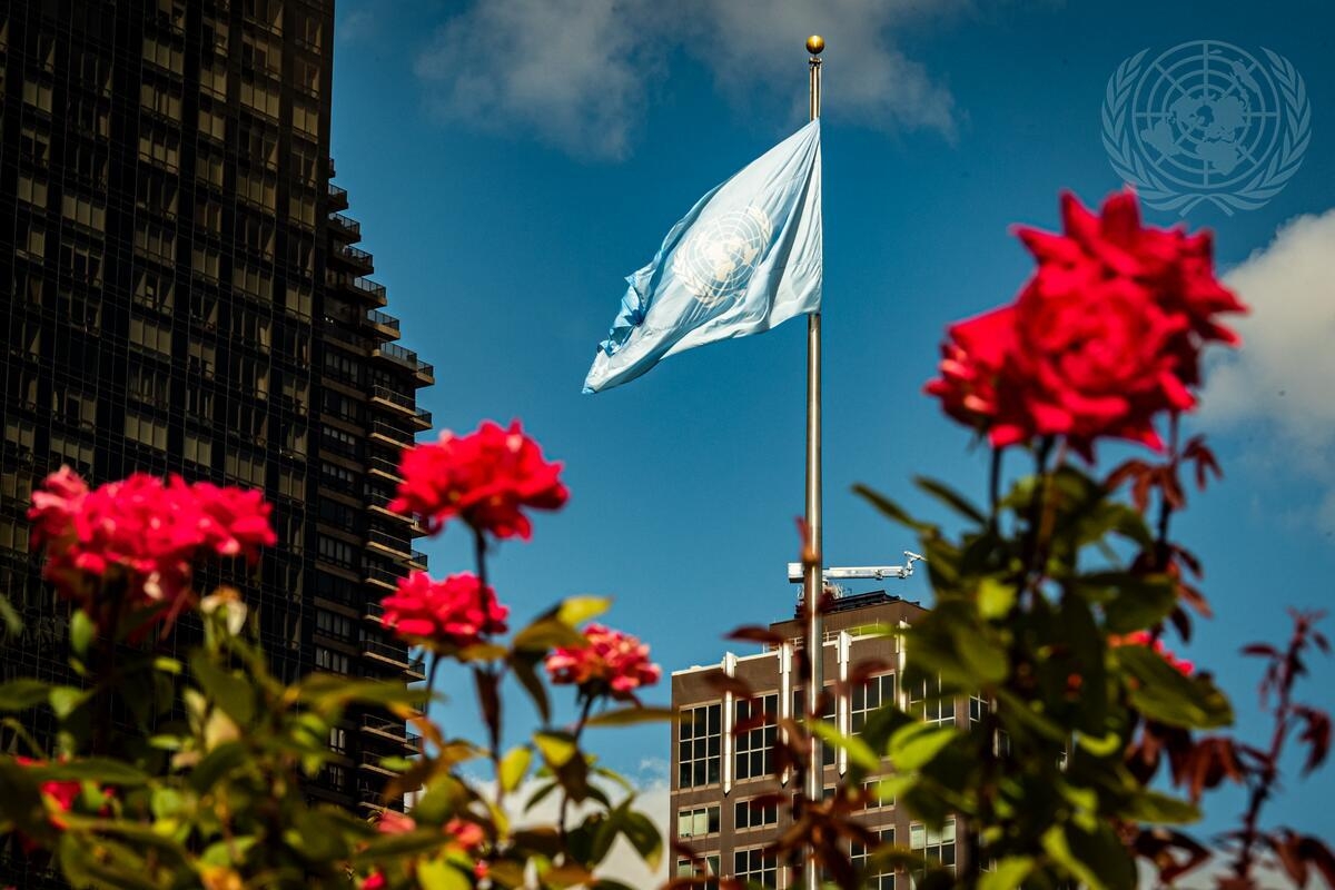 FN-flagget sett fra rosehagen ved FNs hovedkvarter i New York. Foto: UN Photo/Rick Bajornas